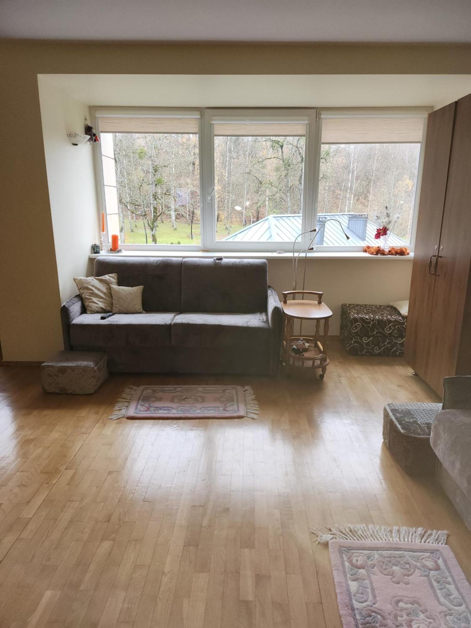 Ramresort Apartment Birštonas 外观 照片